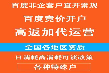 关键词竞价排名策略案例分析